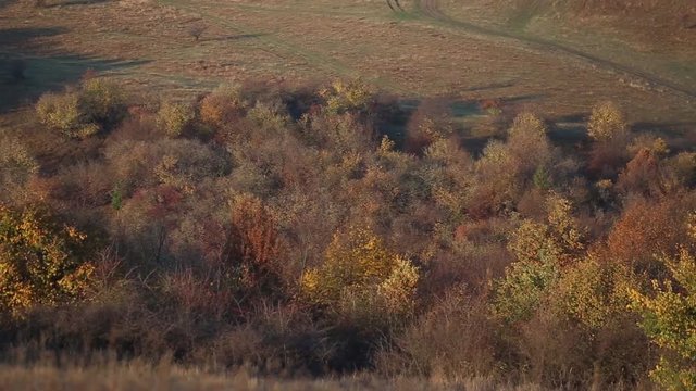 Beautiful autumn landskape on hlls