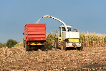 Tractor with silage wagon and corn chopper at harvest - 7254