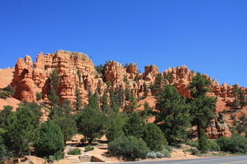 Bryce canyon