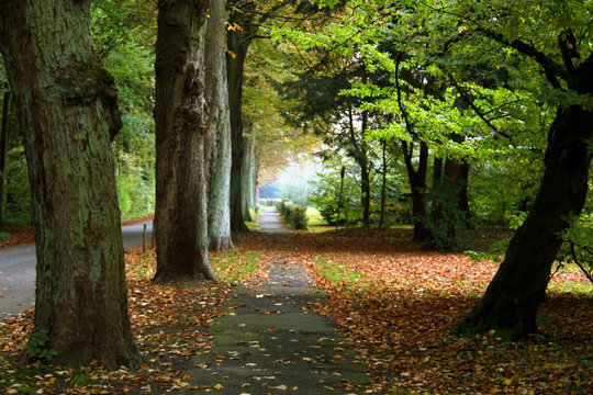 Herbst 1