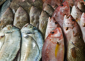 raw fish on ice at street market