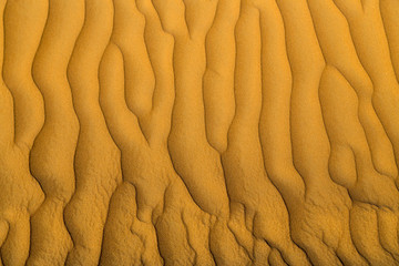 sandy Desert Landscape