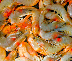shrimps background seafood