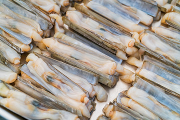 Fresh razor shell on ice at the seafood booth