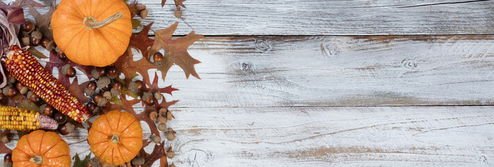 Autumn acorns, pumpkins, corn and leaves on rustic white wood background