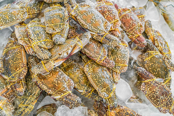 Horse crab, Blue crab, Flower crab on ice in food market