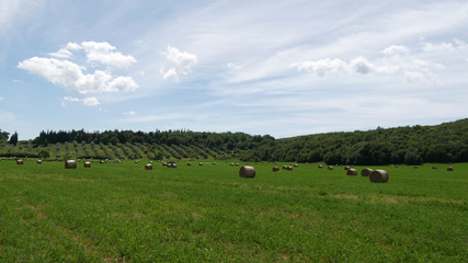 Balle di fieno nella campagna in Toscana