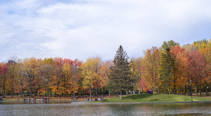 Obraz premium People enjoy a warm autumn day at the Beaver Lake in Mont Royal Park, Montreal