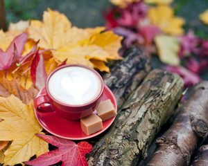 cup of coffee, autumn landscape