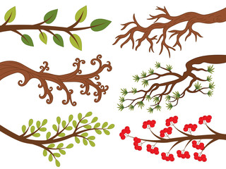 Vector Set of Various Tree Branches