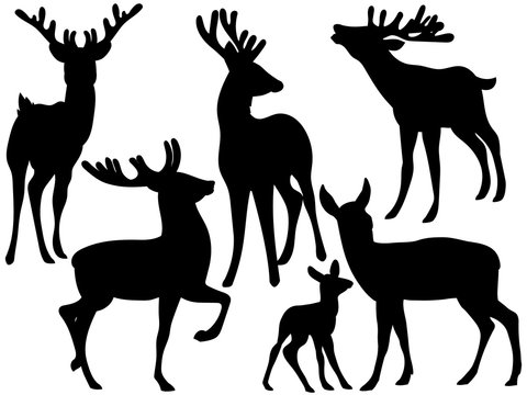 Vector Silhouettes of Deers
