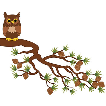 Vector Cute Owl on Pine Tree Branch