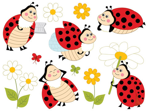 Vector Set of Cute Cartoon Ladybugs