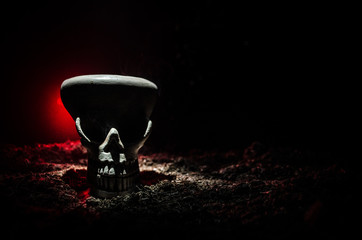 Scary skull on toned light dark background. Design for Halloween background or horror theme. Selective focus