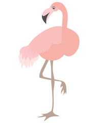 Vector Beautiful Coral Flamingo