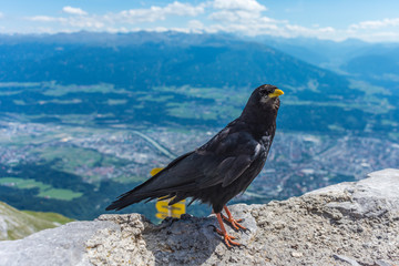 Nordkette mountain in Tyrol, Innsbruck, Austria.