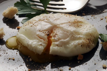 Uppomuna Poached egg Œuf poché Uovo in camicia 수란 Verlorene Eier ポーチドエッグ Förlorade ägg 水煮嫩蛋 Gepocheerd ei Uova Huevo escalfado Ovos escalfados Jajko w koszulce Яйцо пашот ביצה עלומה  © Comugnero Silvana