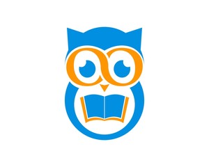 learning owl