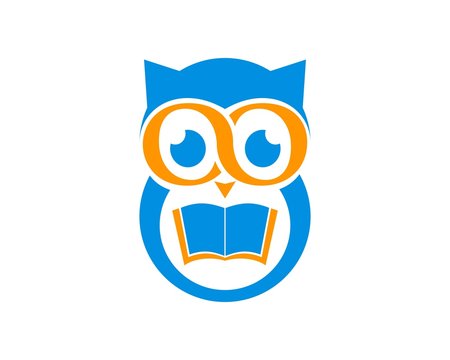 learning owl