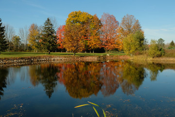 Fototapeta na wymiar Fall colors reflection on pond 