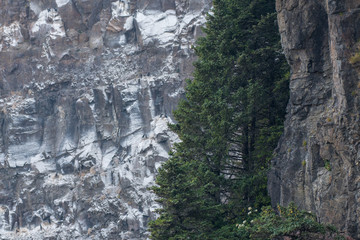 Bird Droppings Cover Rocky Wall Near Cape Meares