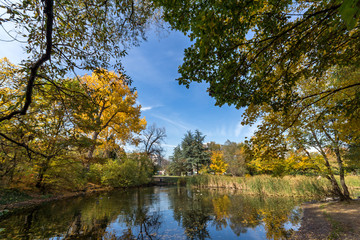 Amazing Autumn landscape with Yellow trees in South Park in city of Sofia, Bulgaria