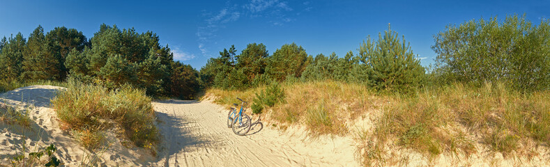 Fototapeta premium Forest protecting beaches of the Baltic Sea, with a bike
