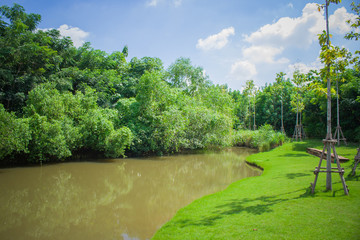 Beautiful landscape of small pond in outdoor garden surrounded with green trees background.