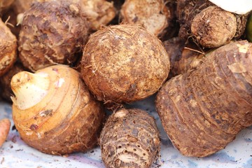 fresh taro in the market