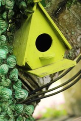 Wooden bird house with the nature