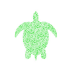 Turtle in green design