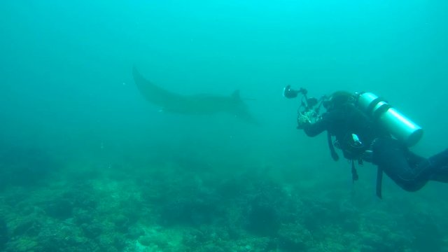 Underwater photographer shooting Giant Reef manta ray - Manta alfredi, Indian Ocean, Maldives
