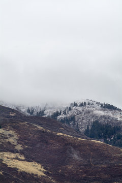 Winter Snow scene in utah wasatch mountains