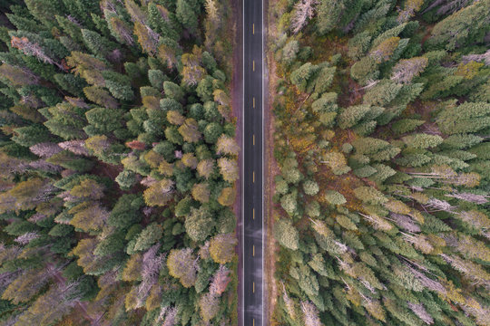 Empty Highway Topdown Arial Drone | Oregon