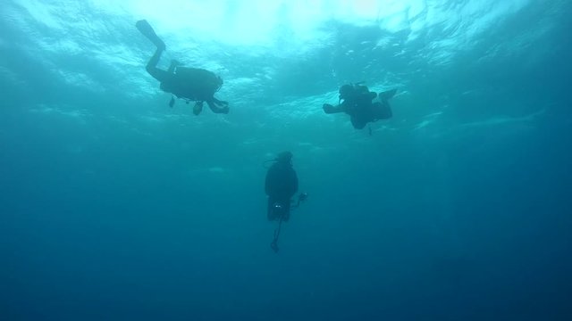 Three scuba diver hang under surface water on the safety stop
