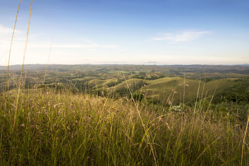 Beautiful landscape view with green meadows