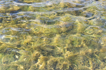 texture of water in tiled pool, fountain. background, nature.