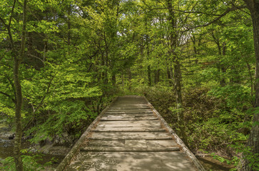Fototapeta na wymiar wooden foot bridge on hiking trail in Hotaka mountain range, Kamikochi national park, Kamikochi, Japan