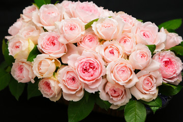 ピンクバラ30本のアレンジメント・品種：ヒカル