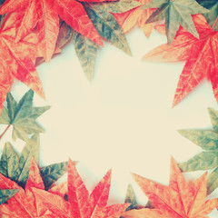 Frame of Maple leaves fabric over white background