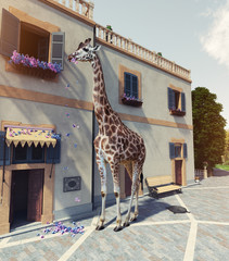 Giraffe eats flowers