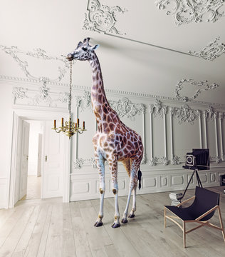 the giraffe hold the chandelier