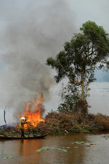 Fototapeta premium Asian woman on row boat, burn dry tree