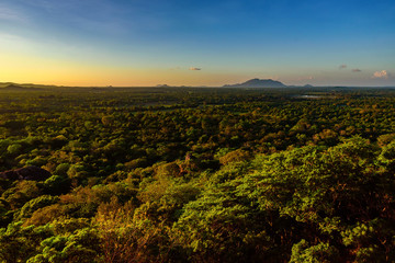 Fototapeta premium Aerial view of tropical forest of Sri Lanka