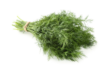Fresh dill leafs isolated on white background