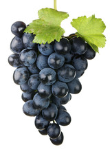 Blue grape isolated on white background