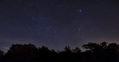 Starscape Point Pelee