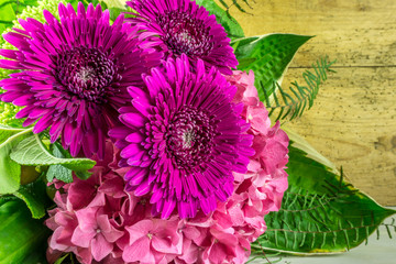 Flowers in color purple with green leaves as background