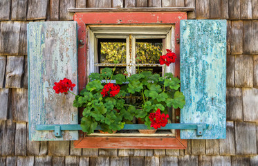 Fototapeta na wymiar Historic farmhouse window with red geraniums.
