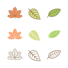 autumn leaf pattern background